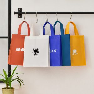 Tradeshow Bag