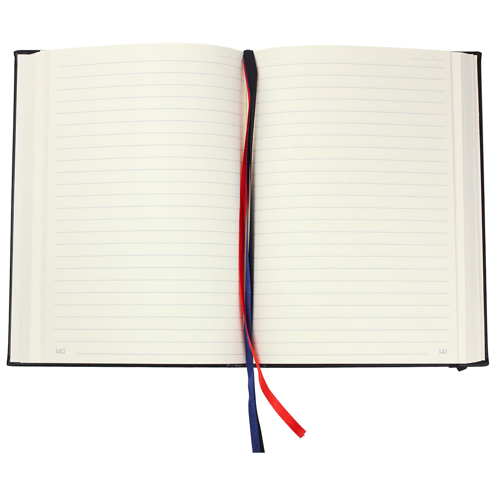 JournalBook Alder 365 Page Diary - Image 3