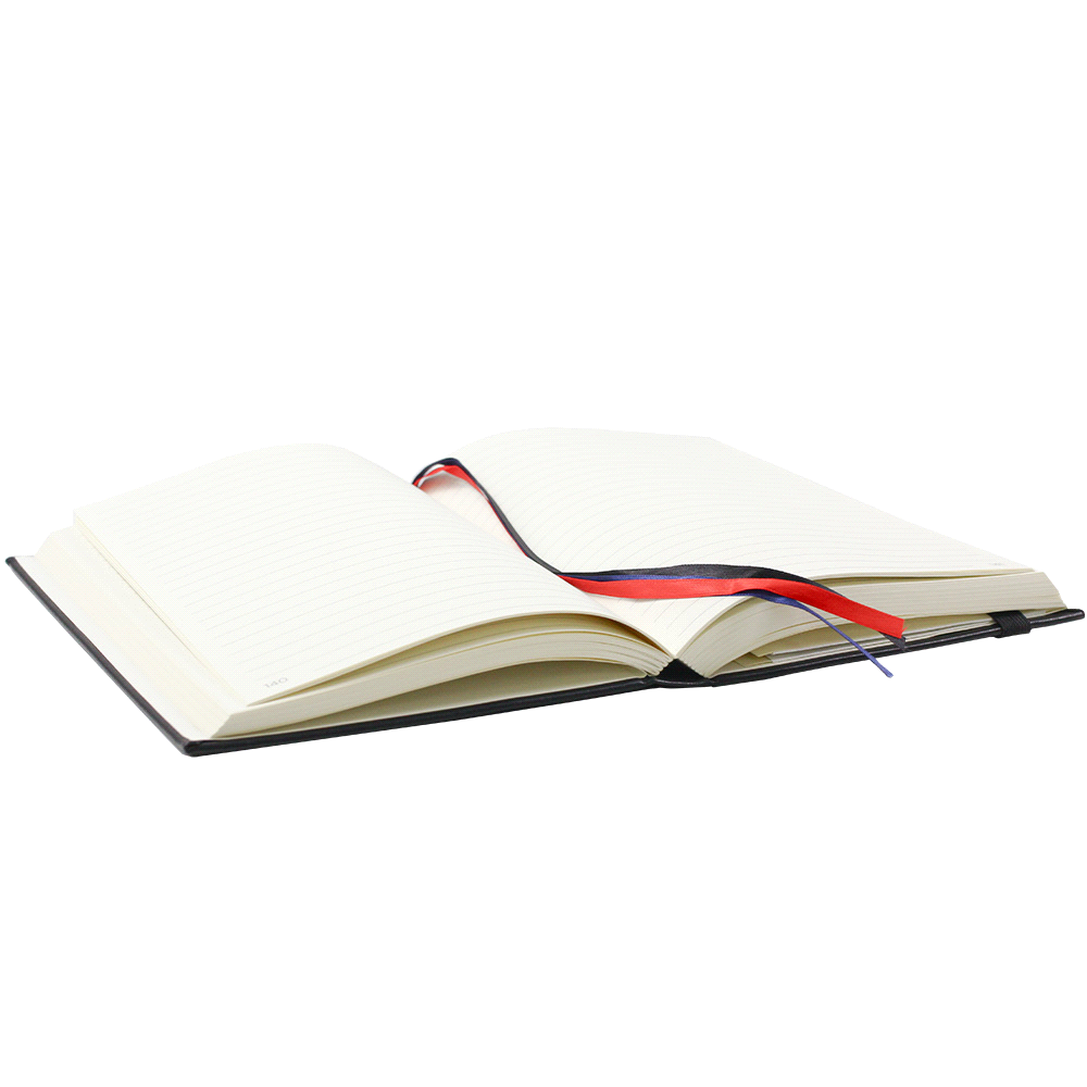 JournalBook Alder 365 Page Diary - Image 10