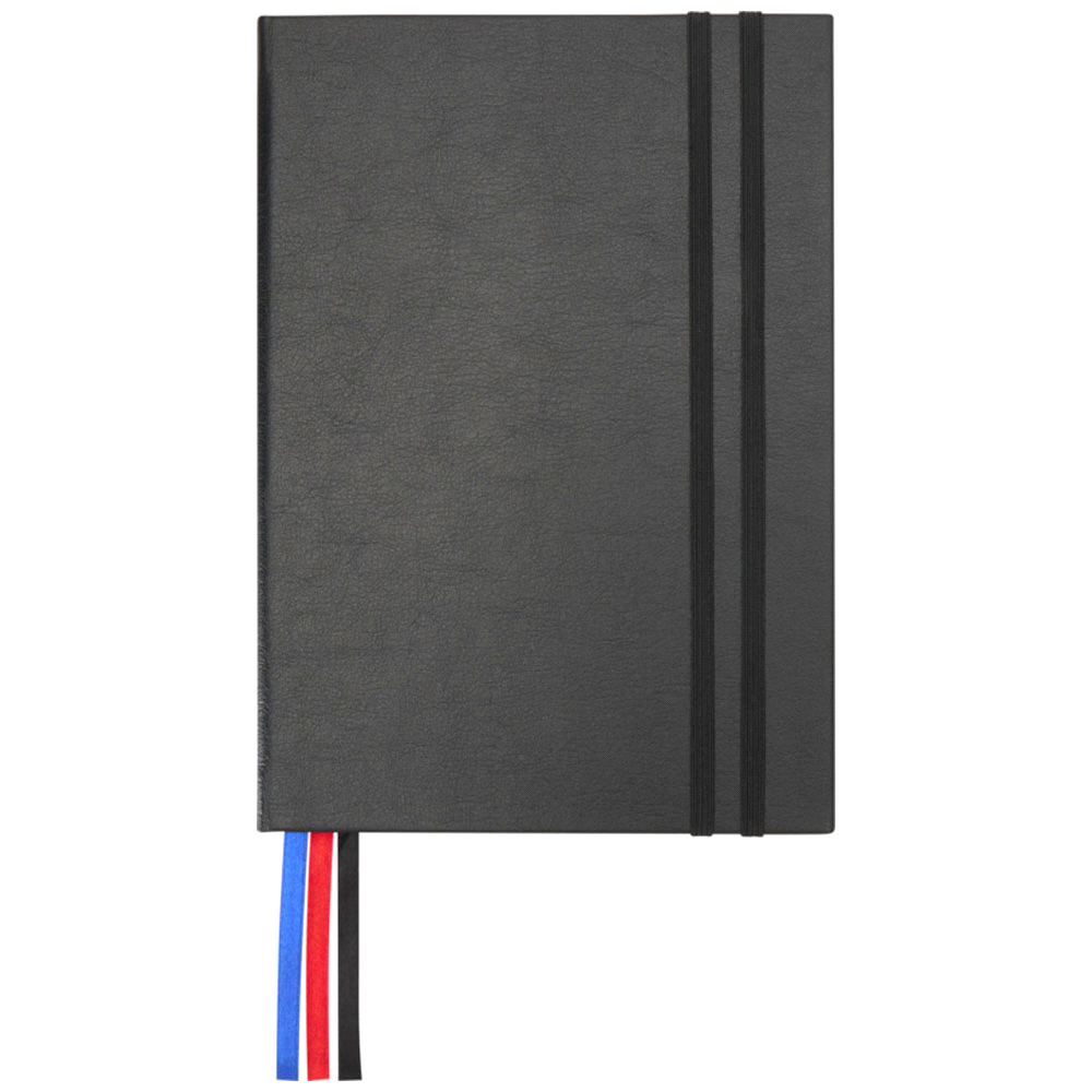 JournalBook Alder 365 Page Diary - Image 15